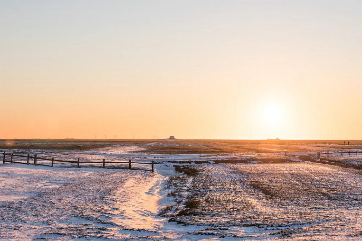 Winterlandschaft Nordfriesland 5