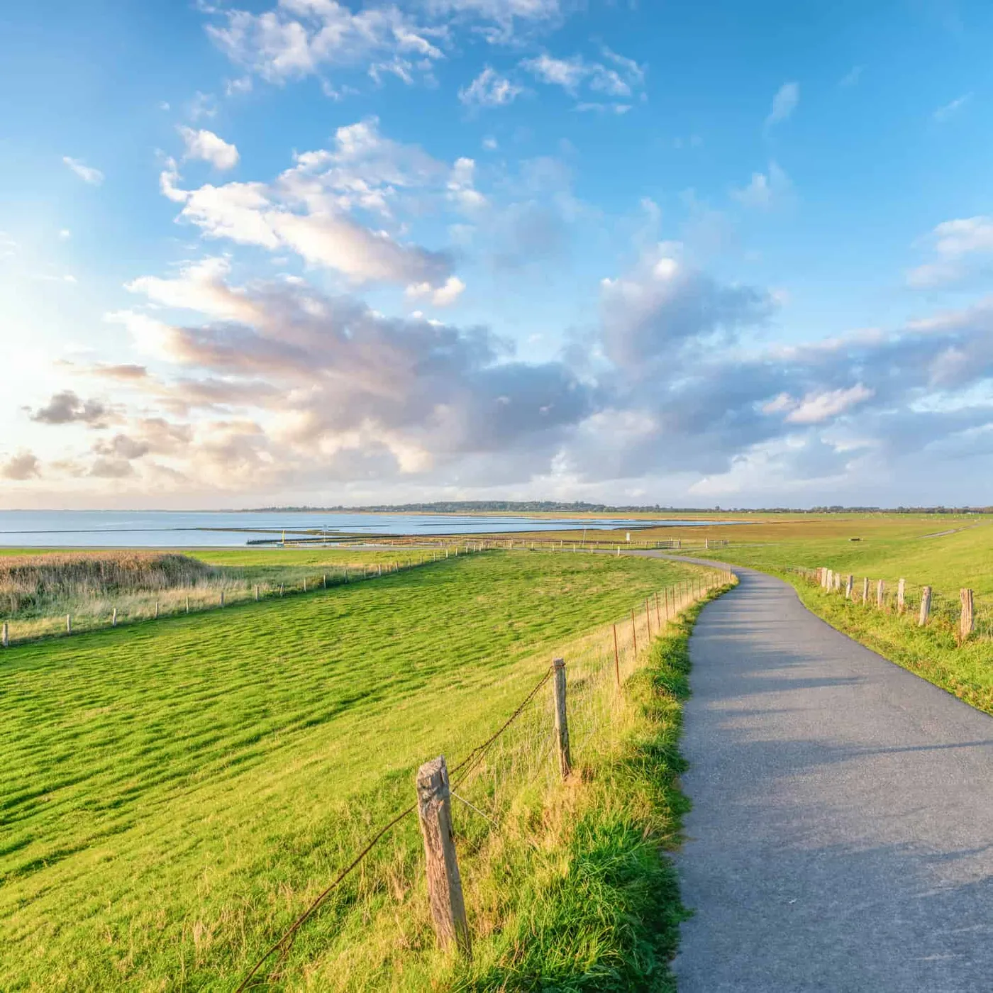 Husumer Dockkoog Nordsee