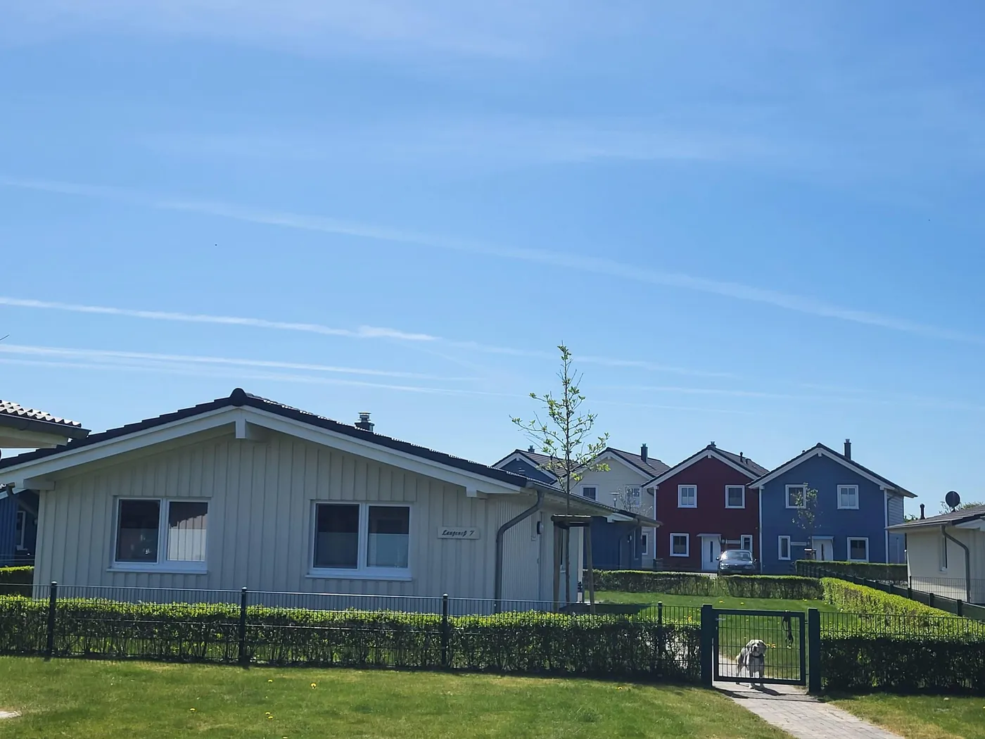 Ferienhäuser mit eingezäunten Gärten und Hecken in Dagebüll