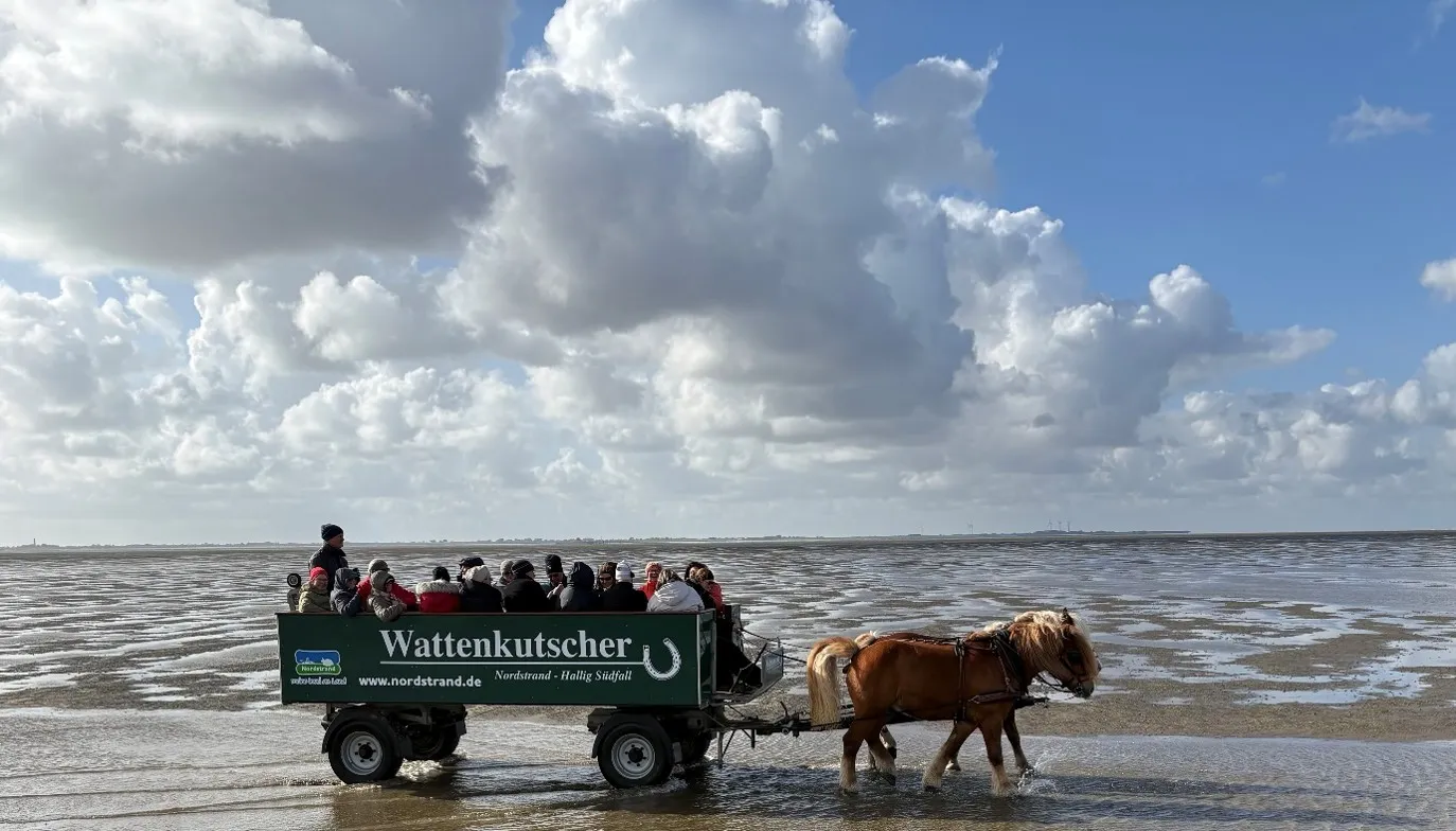Kutschfahrt auf dem Weg nach Südfall